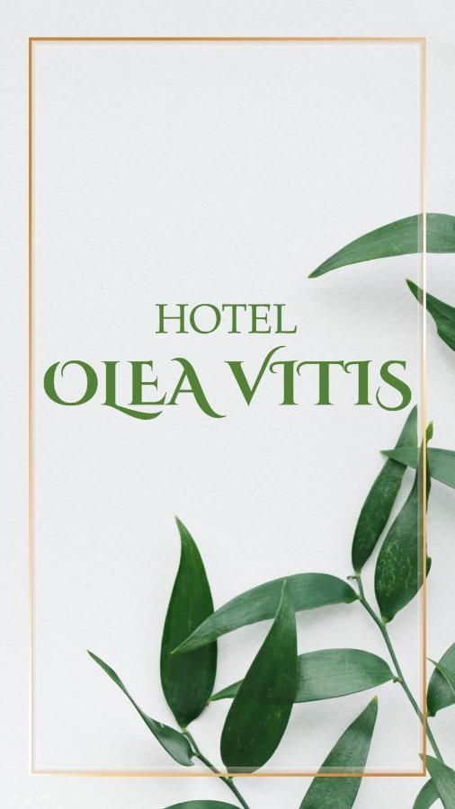 Međugorje Olea Vitis酒店 外观 照片